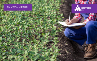 Curso: Contabilidad Agropecuaria – Costos Agropecuarios En Paraguay